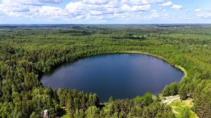 Подводный мир озера Светлояр. Нижегородская область.