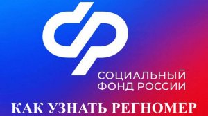 КАК УЗНАТЬ РЕГИСТРАЦИОННЫЙ НОМЕР В СФР В 2025 ГОДУ