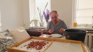 Собрали очень много разной ягоды и сушили её в домашней самодельной сушилке. Работа по дому.