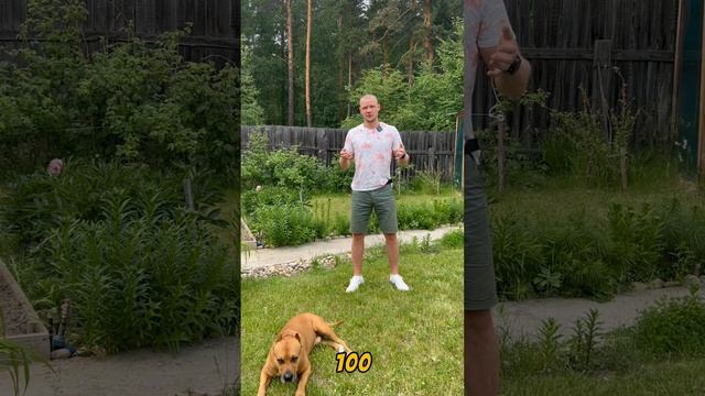 В чем отличие класса прочности от марки бетона? смотреть онлайн