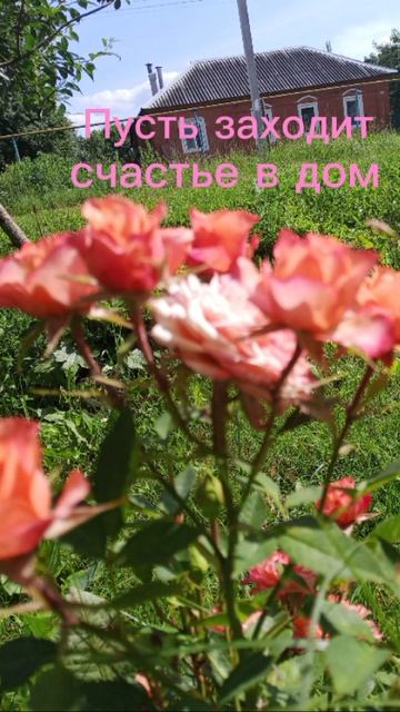 доброе утро☀ 🌝⏰ смотреть онлайн