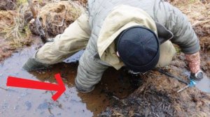 Нереальный ПОИСК ЗОЛОТА на Слитых СТАВКАХ в БОЛОТЕ, Экстремальный КОП!!!