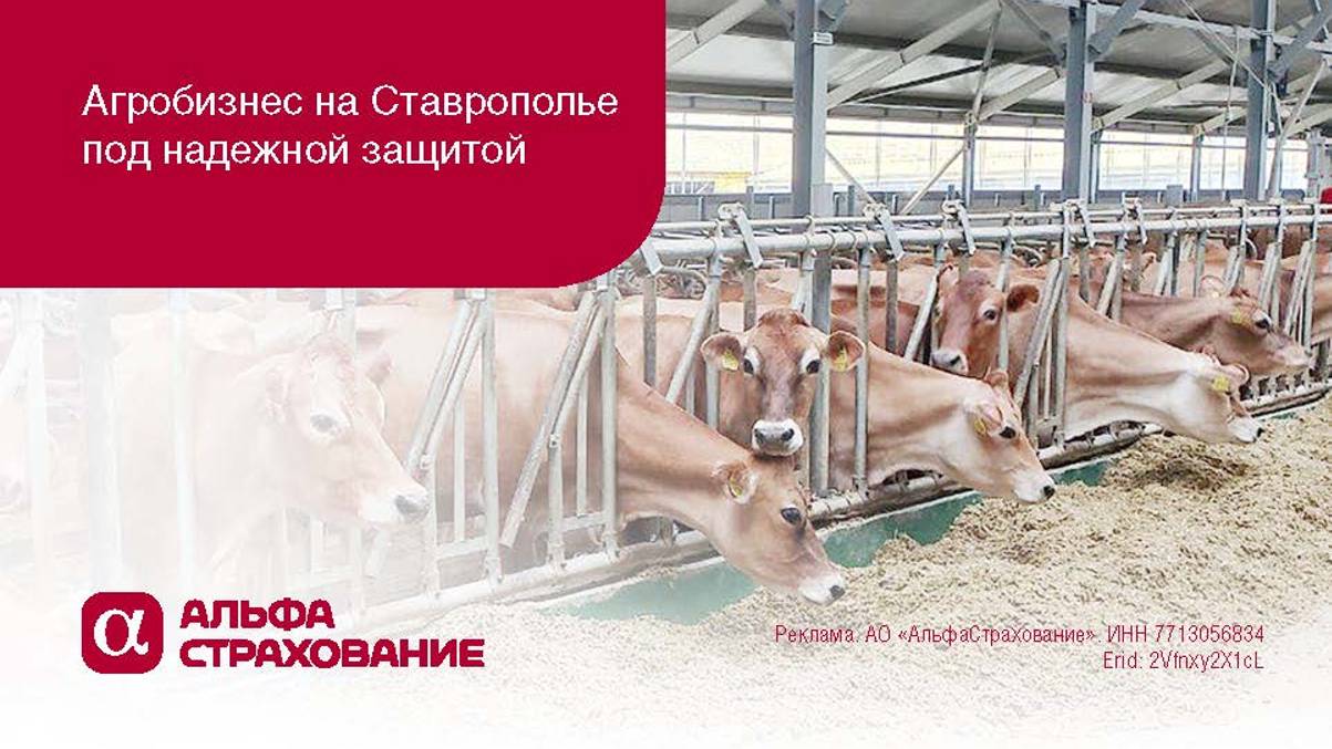 АГРОБИЗНЕС НА СТАВРОПОЛЬЕ ПОД НАДЕЖНОЙ ЗАЩИТОЙ