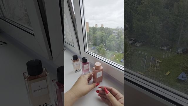 Ведро L'IMPERATRICE от Dolce & Gabbana. КОНКУРС. смотреть онлайн