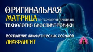 Лимфангит ⚠️ Оригинальная программа матрица по технологии Гаряева П.П ☀️ SoftRadio.ru