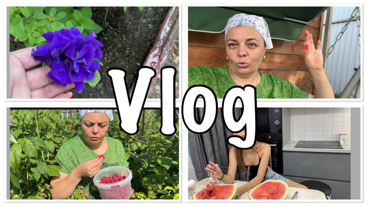 он ТОЧНО вам НУЖЕН!пора собирать УРОЖАЙ-мы так его ХОТЕЛИ-но увы еще рано смотреть онлайн