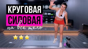 Круговая силовая тренировка на все тело | sindirina1