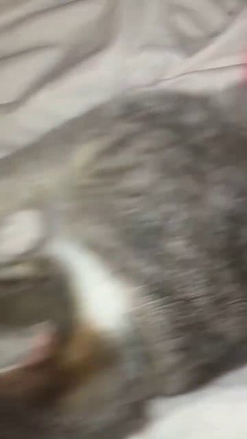 ... зима!! - Носы ЗАМЕРЗАЮТ ‼