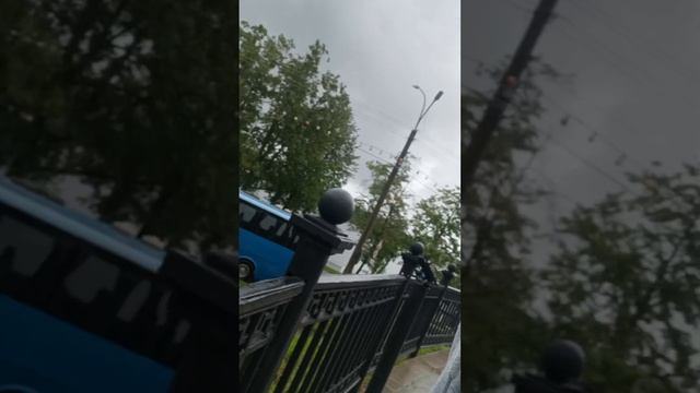 Ищем зайцев в Костроме 1 часть 🐰