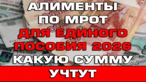 Алименты по МРОТ на Единое пособие 2026 Какую сумму учтут