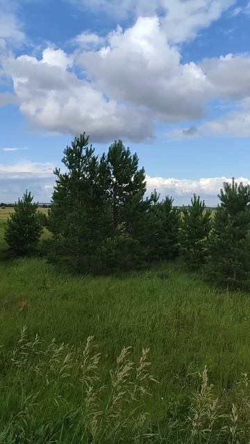 Айдырля смотреть онлайн