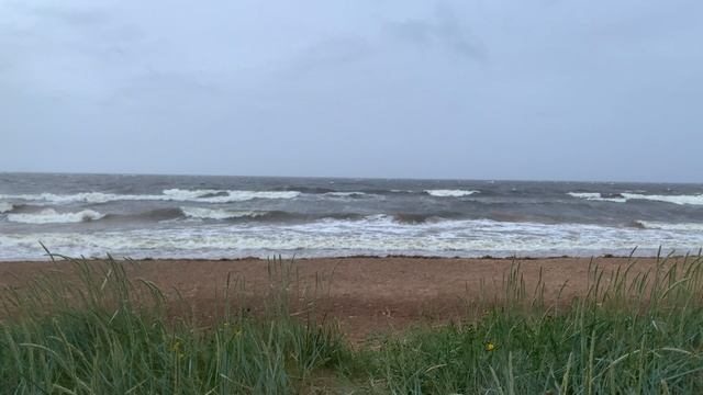 Шторм на Финском заливе 29.06.2025 смотреть онлайн