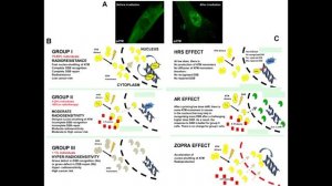 Сценарий третьей мировой войны. От добычи урана до его применения и страшные последствия.