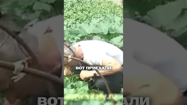 Боль над коленом? Вот что делать! смотреть онлайн