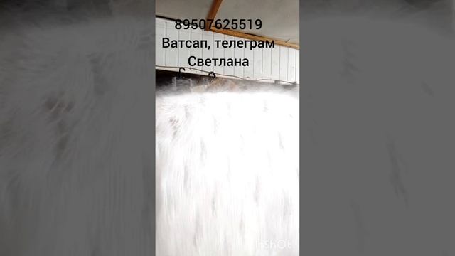 Пуховые косынки,платки,шарфы,кофточки,жилетки. смотреть онлайн