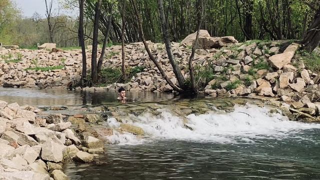 Ежедневное купание. День 111. stop dog, where are you going