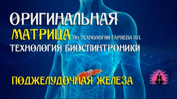 Поджелудочная железа ⚠️ Оригинальная программа матрица по технологии Гаряева П.П ☀️ SoftRadio.ru