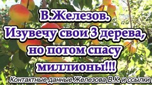 В.Железов. Изувечу свои 3 дерева, но потом спасу миллионы!!!