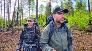 НОЧЬ С ДЕВУШКОЙ В ПАЛАТКЕ В ЛЕСУ. МЕДВЕДЬ РЯДОМ.