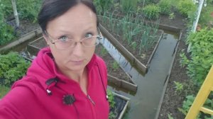 Мини видео привет с 6 соток 1 июля 2025 года