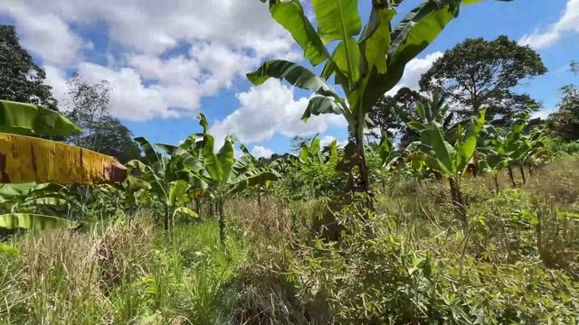 Гуляем с Айдыном. Часть 5.