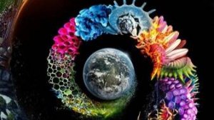 Неизвестная планета Земля 10 серия «Дом» | NAT Geo