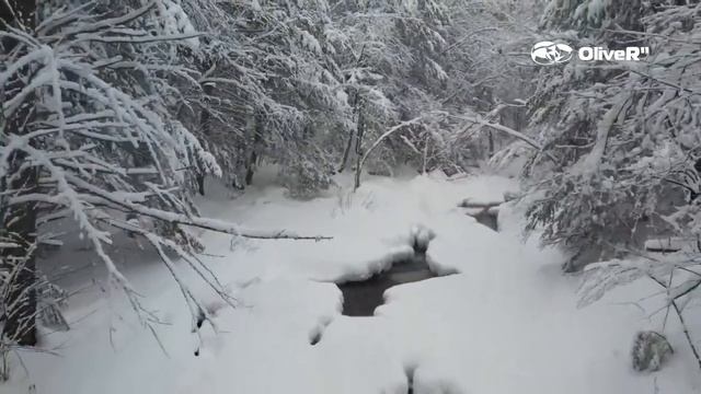 SNOW 12 2024 смотреть онлайн
