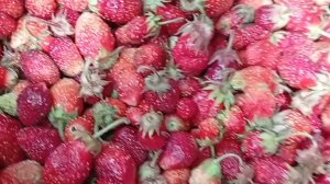 Даже не знала, что она существует!