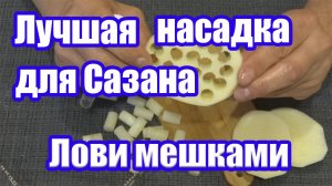 Насадка для рыбалки на Сазана и Карпа Лучшая насадка для рыбалки