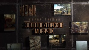 Проект «Казаки на СВО». Третья серия «Золотое «Морячок».
