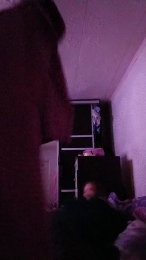 мы две дуры