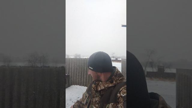 Собака 🐺 с глазами ангела и душой вожака 👑 смотреть онлайн