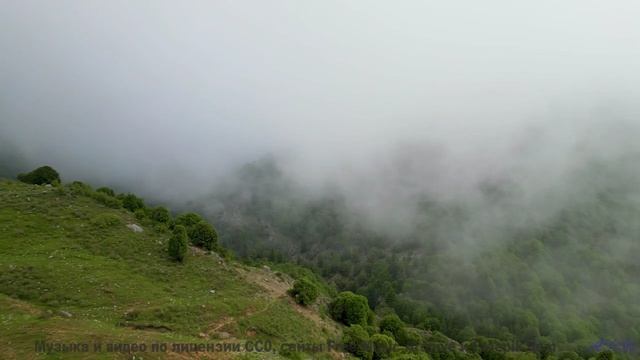 Тот момент, когда звуки леса и музыка сливаются в одно целое - Spoiler Alert -- Famous Logs In Histo