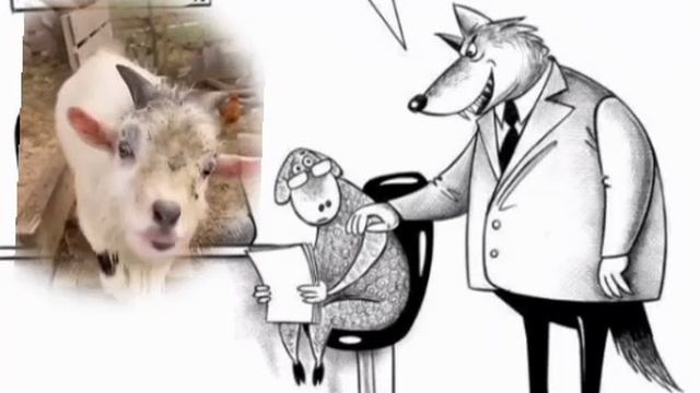 Хрюша против настырных помошничков Юристов раздолжнителей. Итоговая нарезка за июнь 2025 г. смотреть онлайн