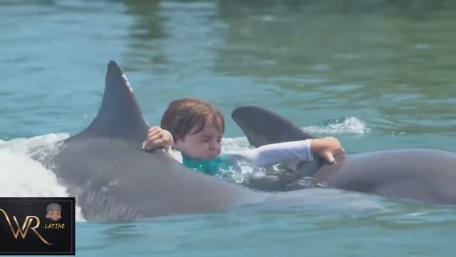 ХУАН ЛУИС ГЕРРА JUAN LUIS GUERRA КОНЦЕРТ  ENTRE MAR Y PALMERAS