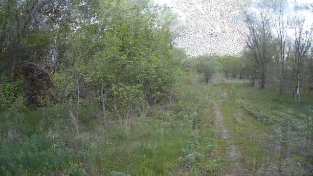 HOROR смотреть онлайн