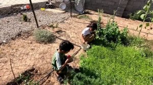 Судебное решение в пользу Тайябы, страх и страдания Тайябы из-за возвращения Гадира