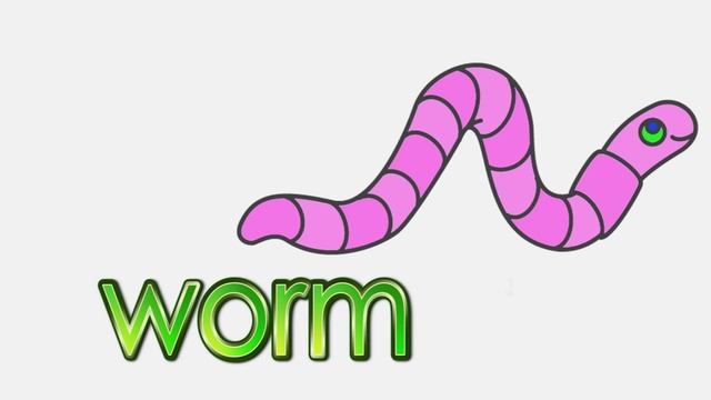 Learn Insects ¦ Talking Flashcards