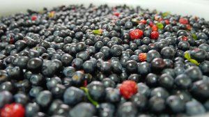 Банка непросыпайка для сбора ягод