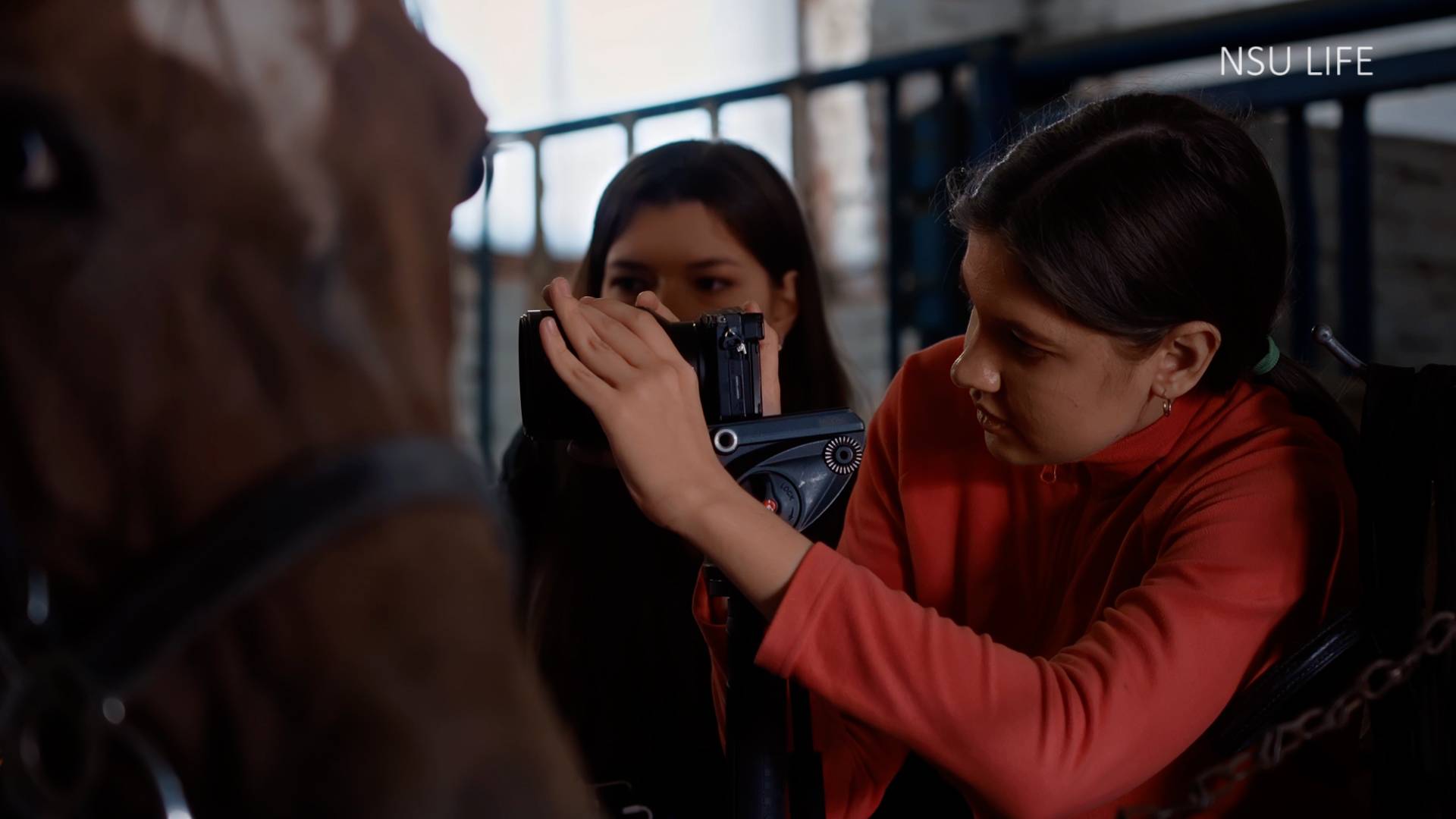 Я на первом. Елизавета Ланец. Журналистика смотреть онлайн