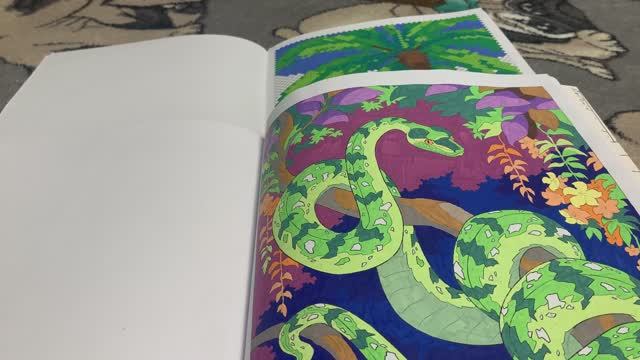 Раскрашенные работы за май и июнь 2025 г. смотреть онлайн