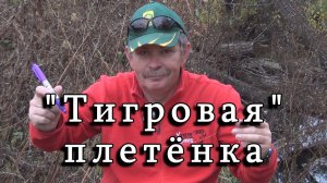 Константин Кузьмин. «Тигровая» плетёнка, 2014 год