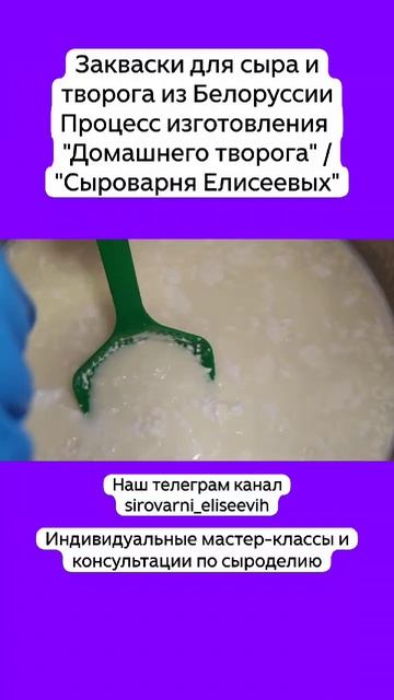Закваски для сыра и творога из Белоруссии Процесс изготовления "Домашнего творога" смотреть онлайн