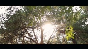 YNNI - Родина внутри (Mood video)