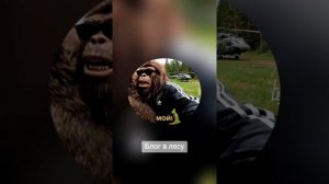 Блог Лехи лесного. выпуск 7наглые браконьеры. Михалыч жив!