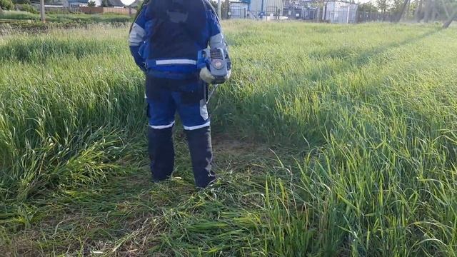 Косим сено на корм животным