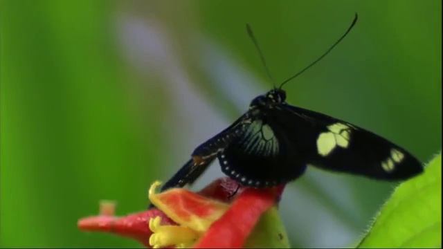 000220 смотреть онлайн
