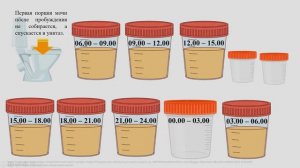 Проба Зимницкого