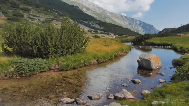 Высокие+горы+-+звуки+природы.+Природа.+Реки,+Озёра,+Луга,+Горизонты.+Живая+Природа-00.06.23.816-00.0 смотреть онлайн