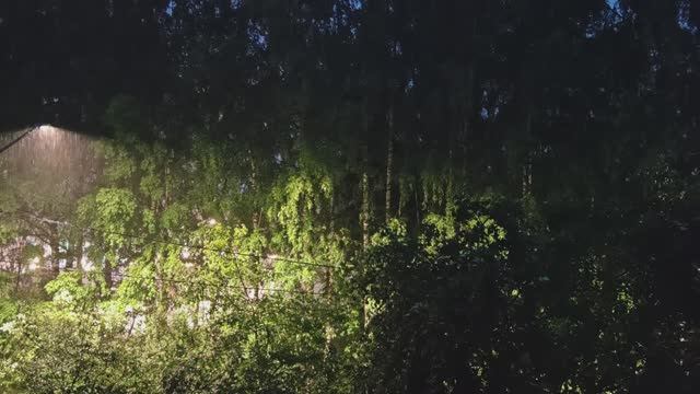 #ливень #дождь #релакс #медитация #антистресс #летнийдождь #природа #лето #шумдождя #лайф